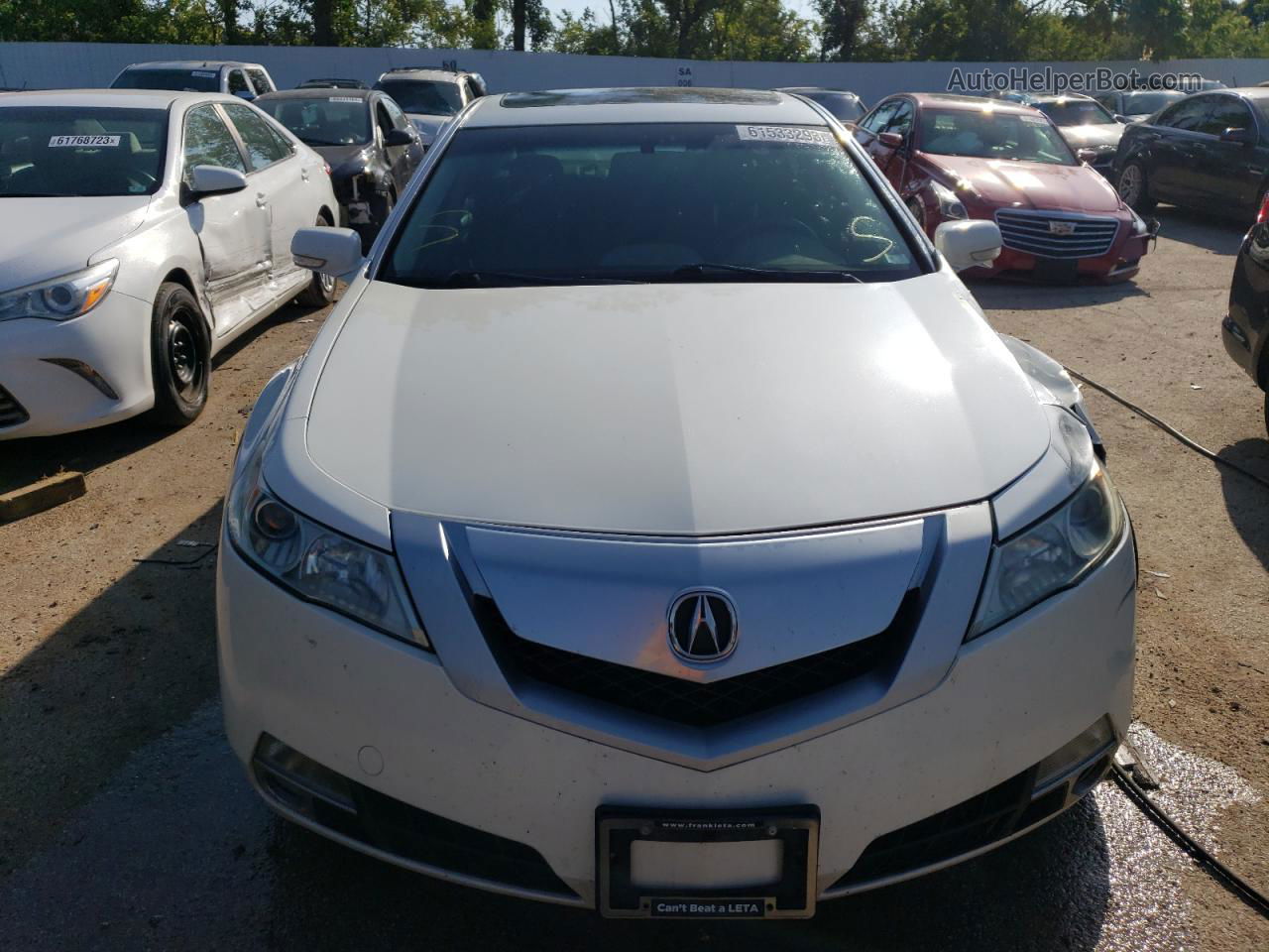 2010 Acura Tl  Белый vin: 19UUA9F52AA005865