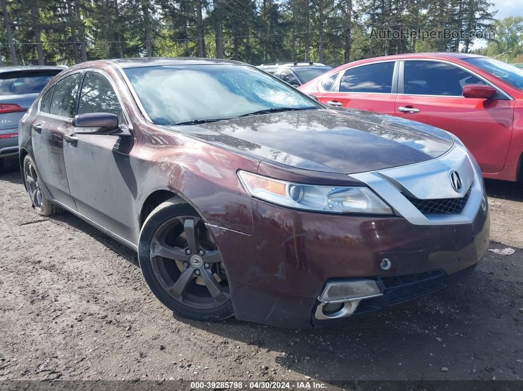 2010 Acura Tl 3.7 Purple vin: 19UUA9F52AA009298