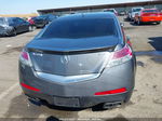 2010 Acura Tl Tech Серый vin: 19UUA9F53AA003798