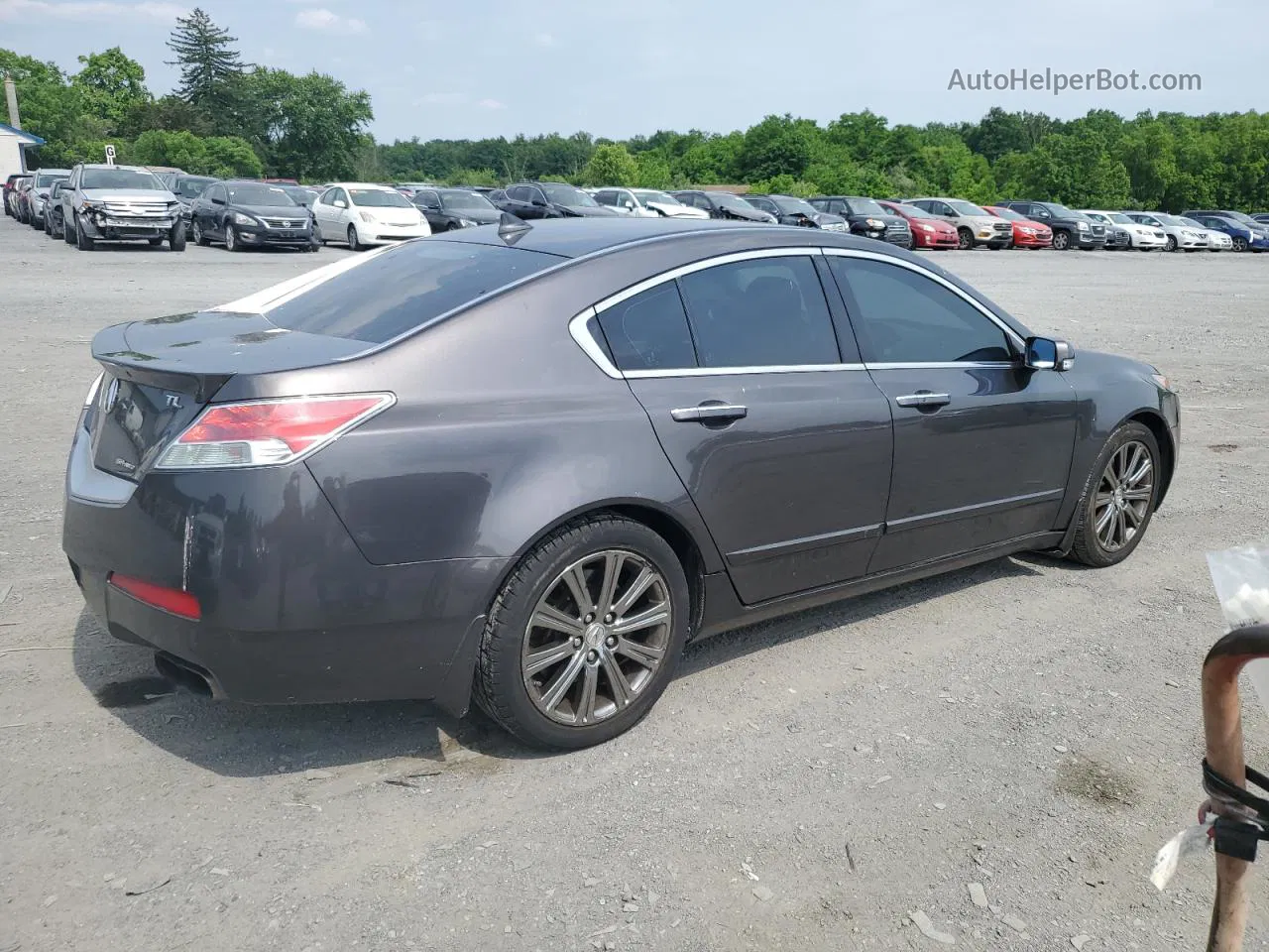 2010 Acura Tl  Charcoal vin: 19UUA9F53AA003901