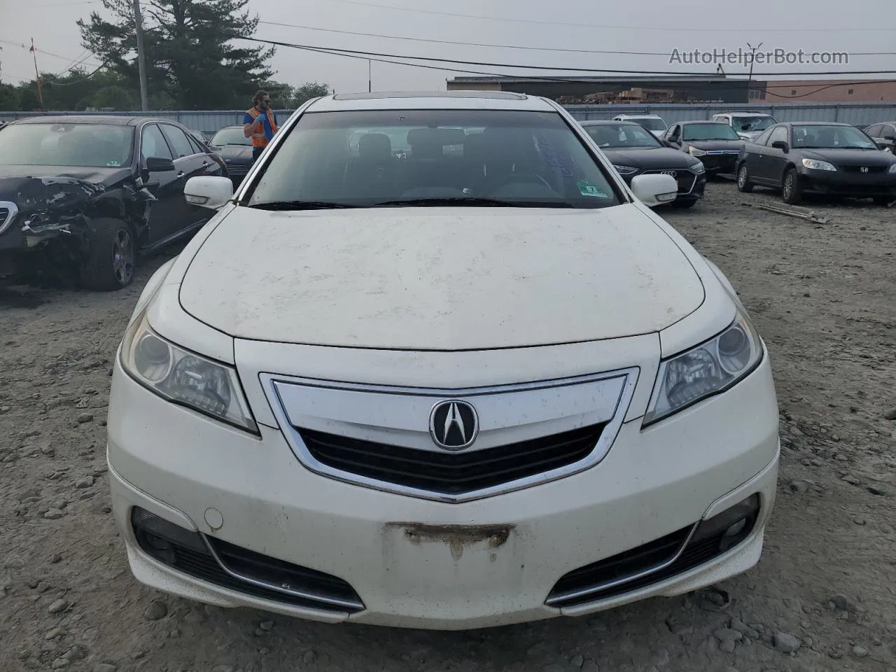 2010 Acura Tl  White vin: 19UUA9F53AA004255