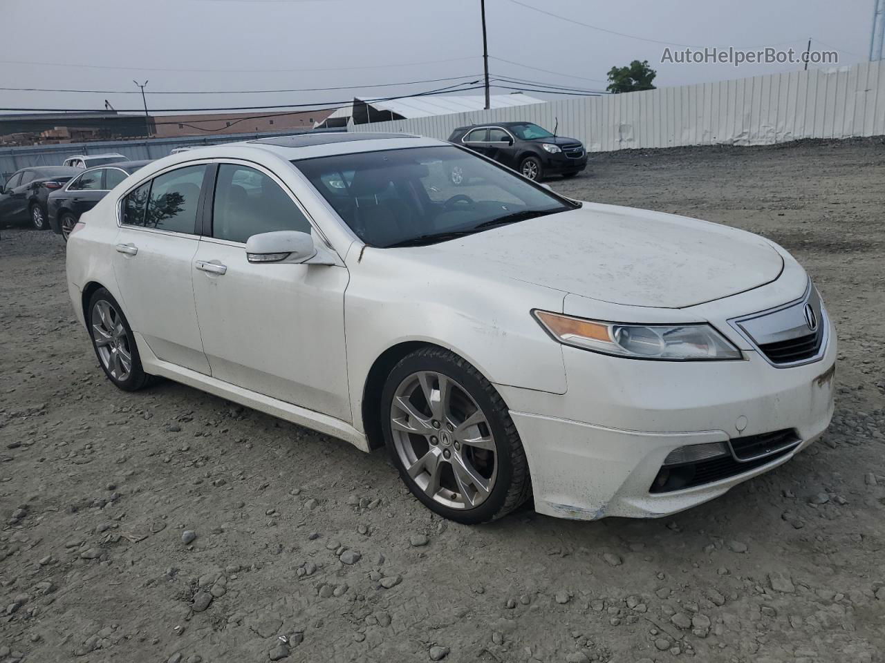 2010 Acura Tl  White vin: 19UUA9F53AA004255