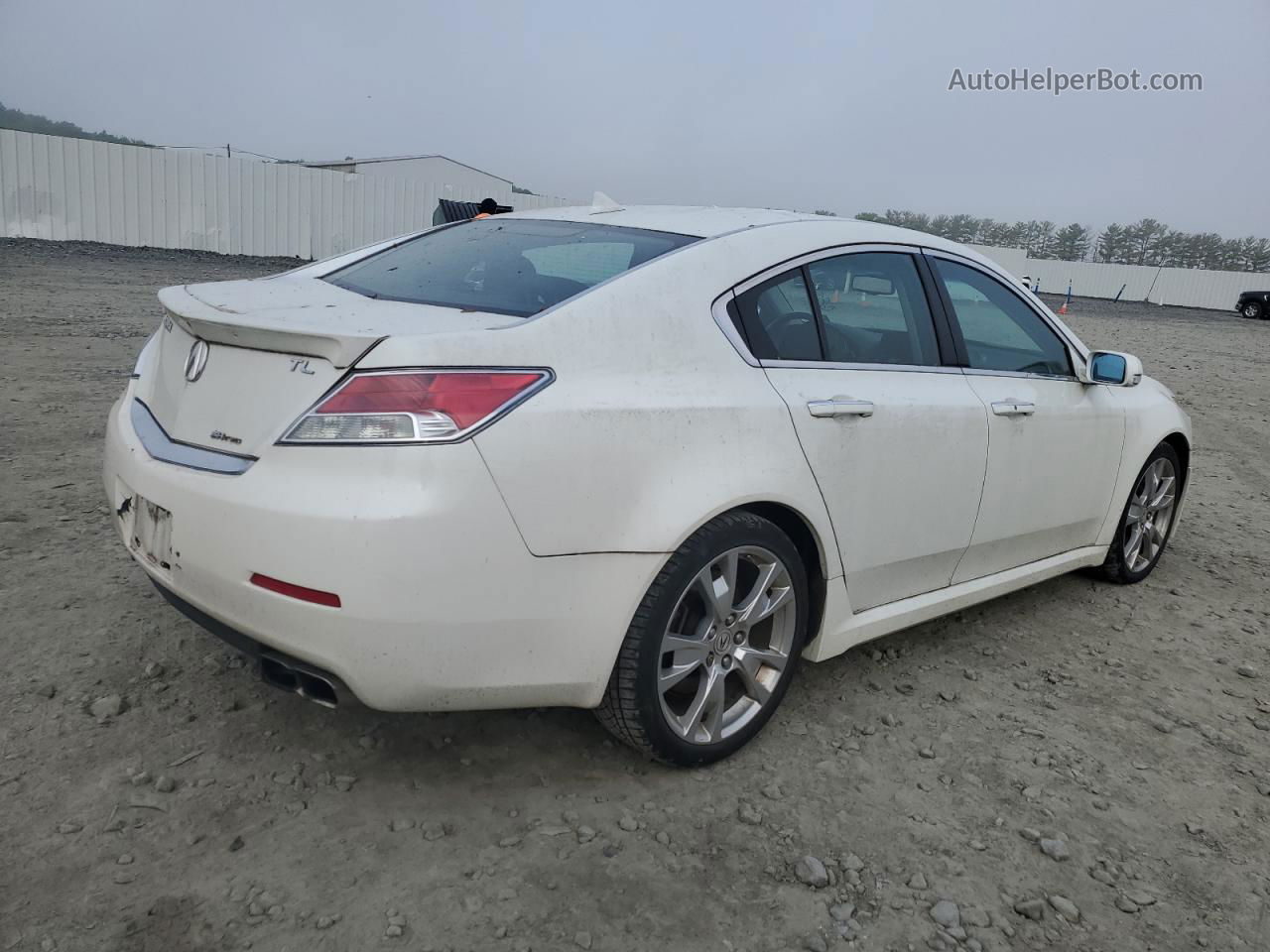 2010 Acura Tl  White vin: 19UUA9F53AA004255