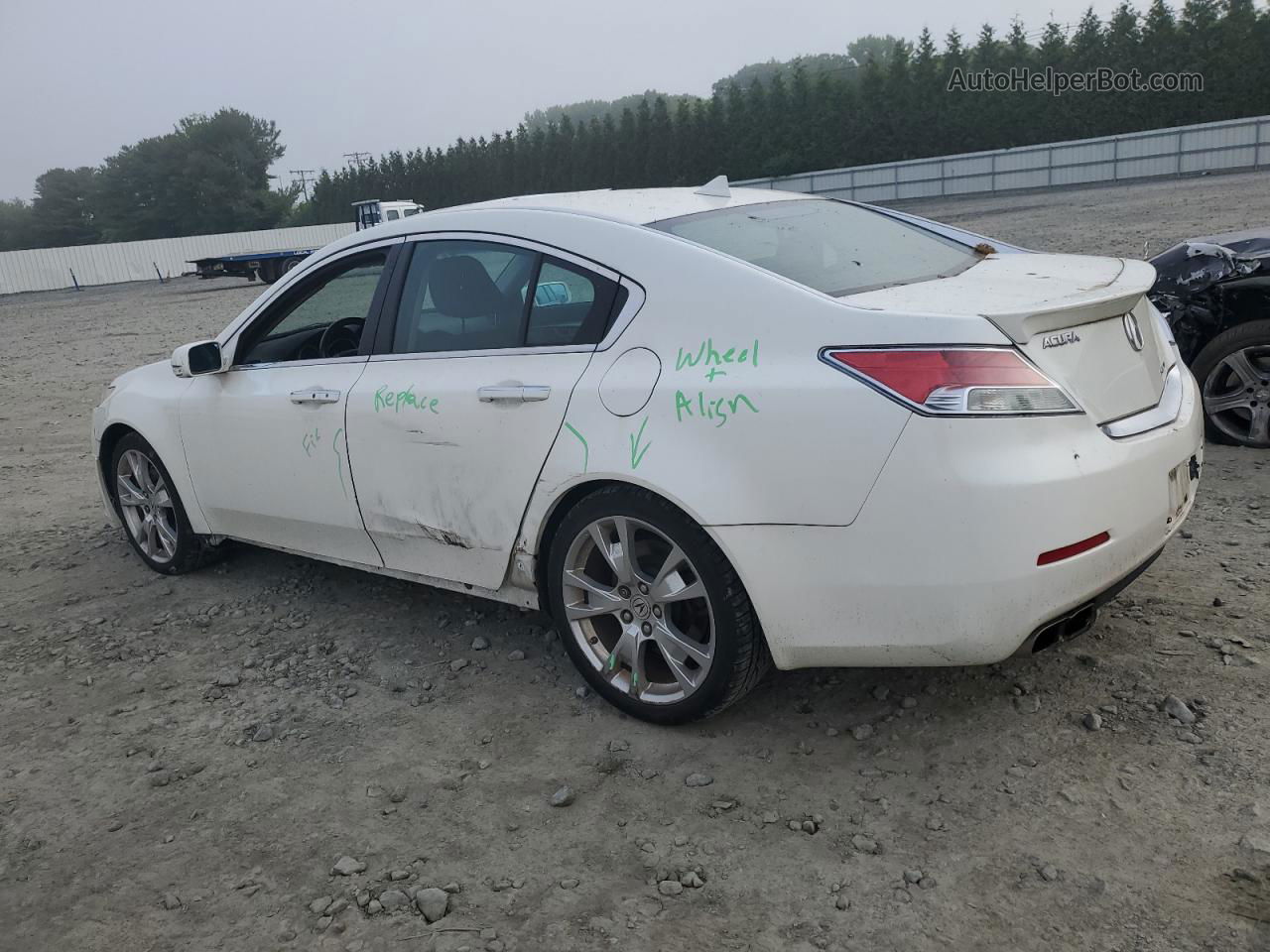 2010 Acura Tl  White vin: 19UUA9F53AA004255