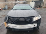 2010 Acura Tl  Gray vin: 19UUA9F55AA007867