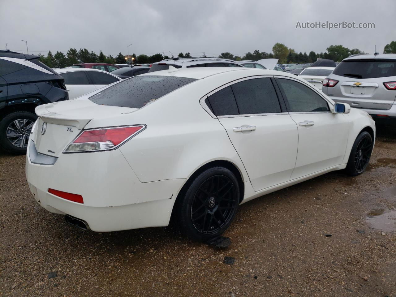 2010 Acura Tl  White vin: 19UUA9F55AA007934