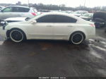 2010 Acura Tl 3.7 Белый vin: 19UUA9F55AA008937