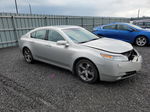 2010 Acura Tl  Silver vin: 19UUA9F56AA801311