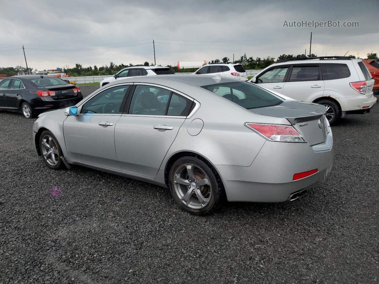 2010 Acura Tl  Silver vin: 19UUA9F56AA801311