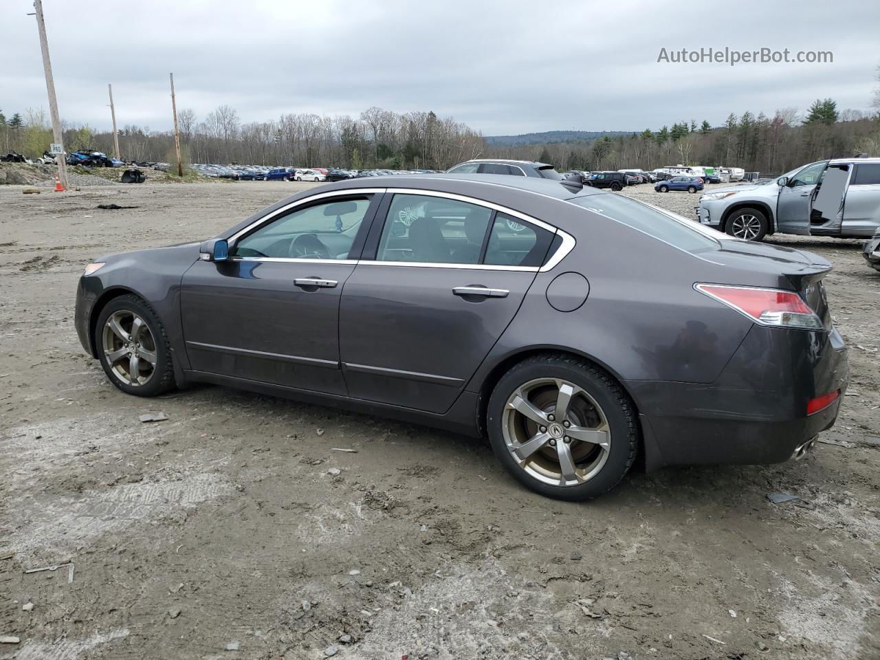 2010 Acura Tl  Gray vin: 19UUA9F57AA003853