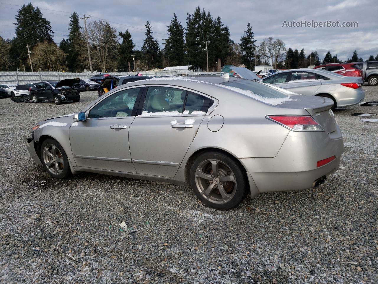 2010 Acura Tl  Tan vin: 19UUA9F59AA007208