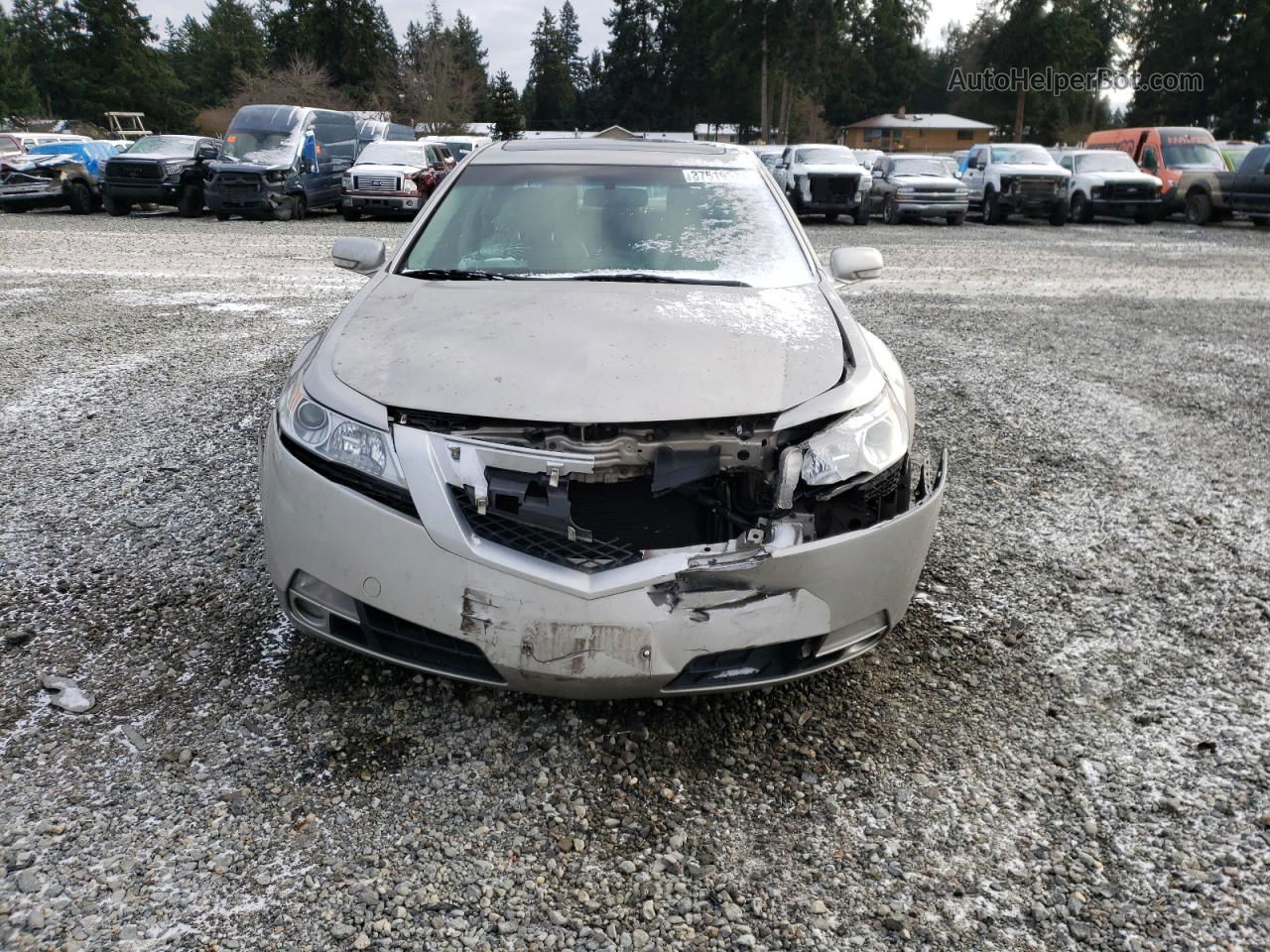 2010 Acura Tl  Tan vin: 19UUA9F59AA007208