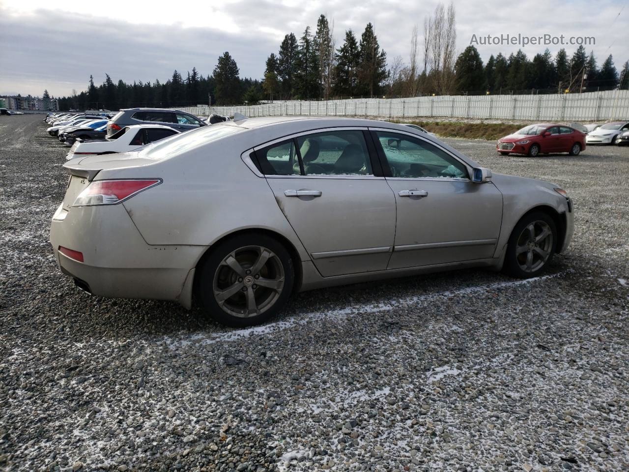 2010 Acura Tl  Tan vin: 19UUA9F59AA007208