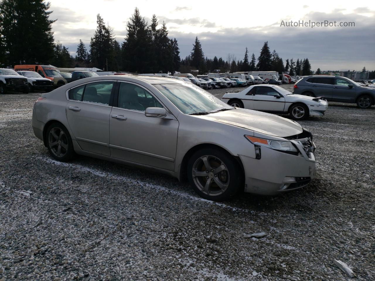 2010 Acura Tl  Tan vin: 19UUA9F59AA007208