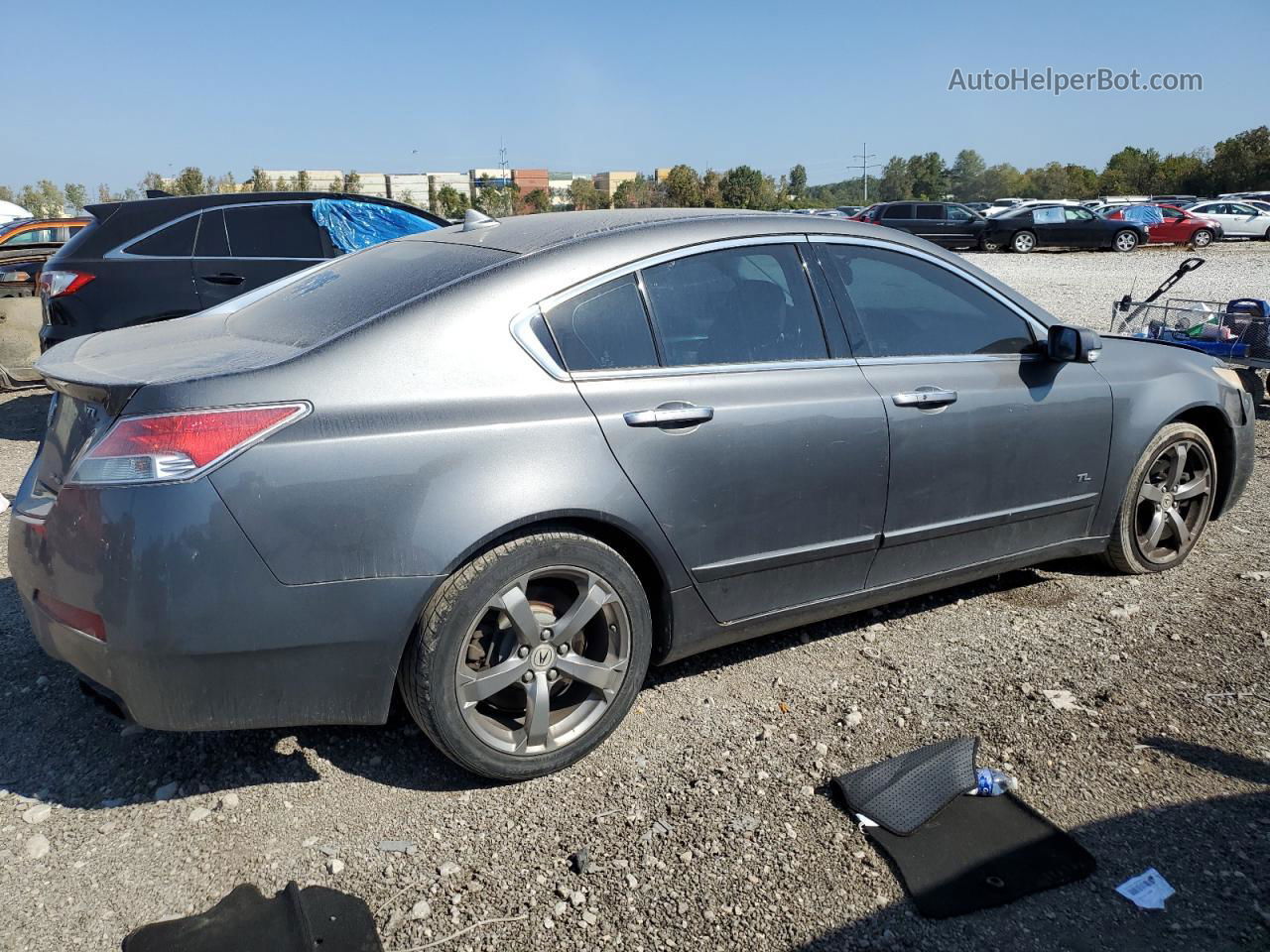 2010 Acura                       Tl Серый vin: 19UUA9F5XAA004639