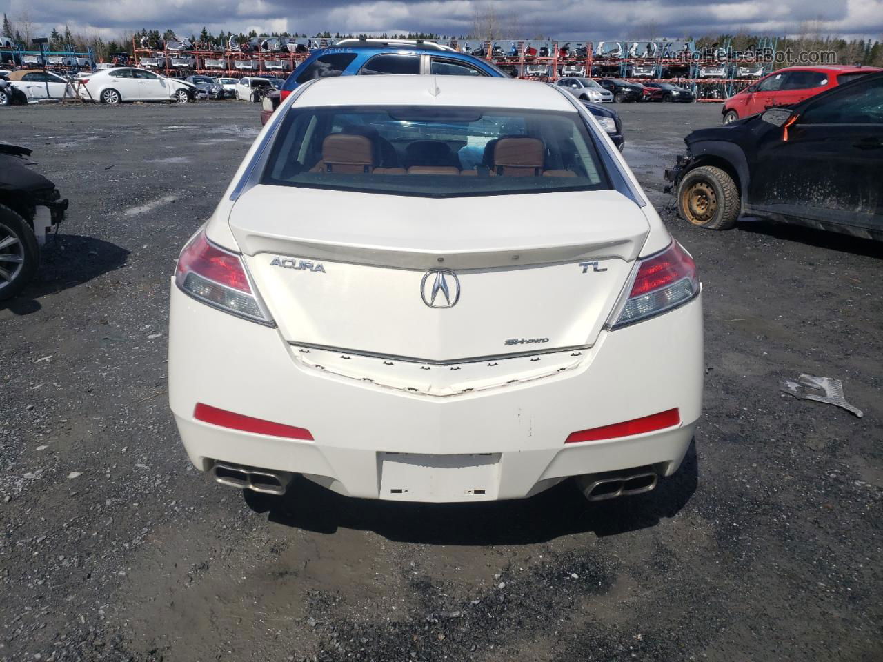 2010 Acura Tl  White vin: 19UUA9F5XAA800114