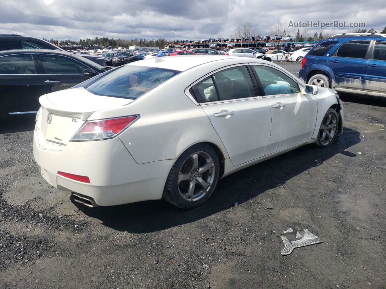 2010 Acura Tl  White vin: 19UUA9F5XAA800114