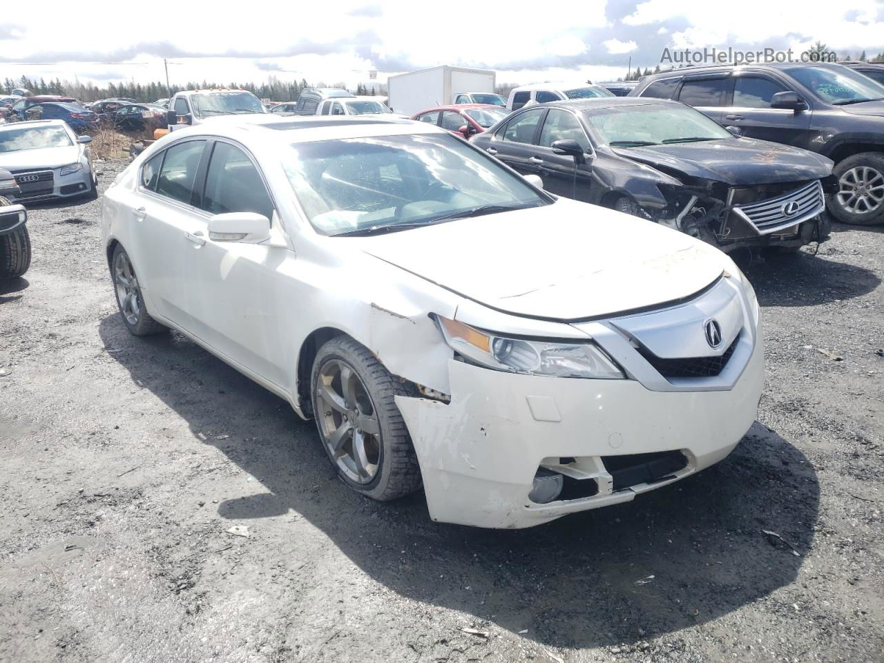 2010 Acura Tl  White vin: 19UUA9F5XAA800114