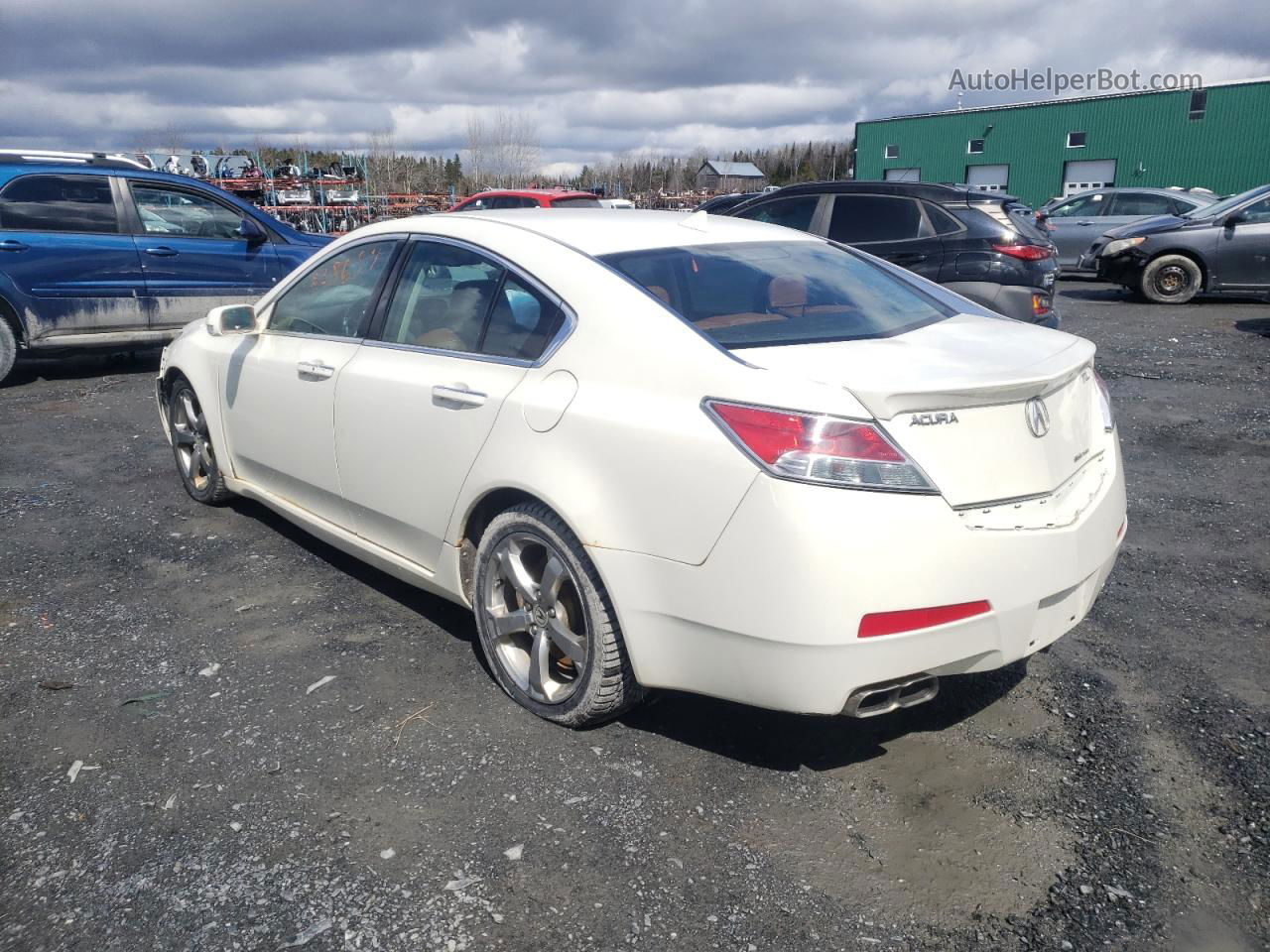 2010 Acura Tl  White vin: 19UUA9F5XAA800114