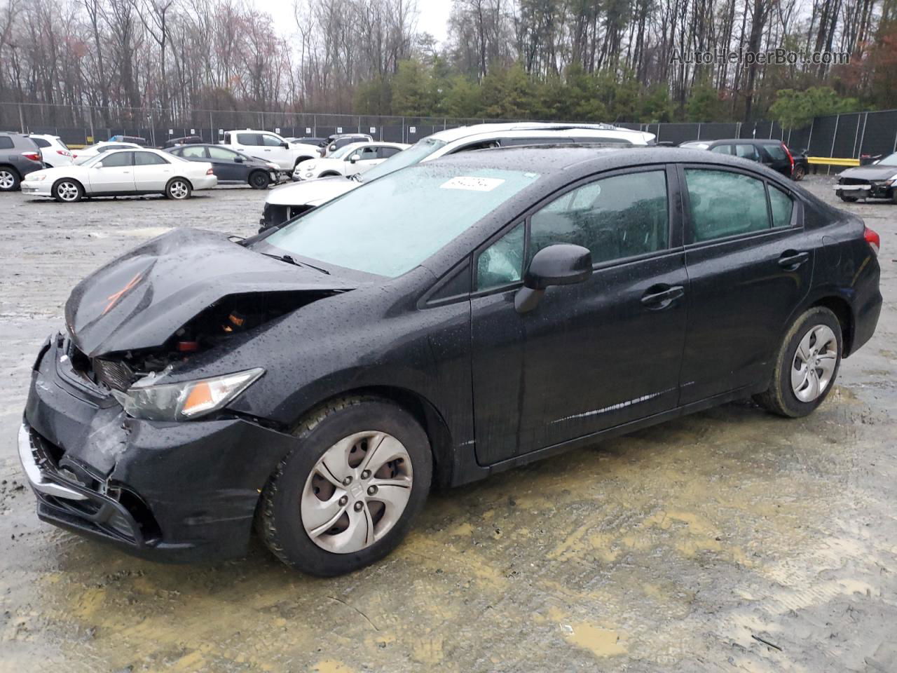 2013 Honda Civic Lx Black vin: 19XFB2F51DE244997