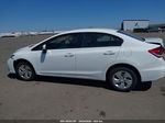 2015 Honda Civic Lx White vin: 19XFB2F56FE012639