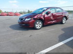 2014 Honda Civic Lx Burgundy vin: 19XFB2F57EE061766