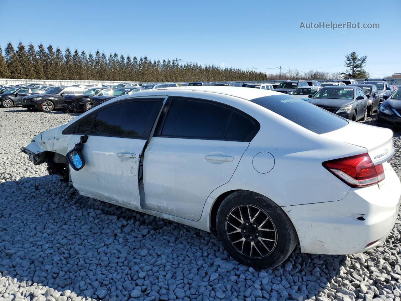 2014 Honda Civic Lx Белый vin: 19XFB2F5XEE230534