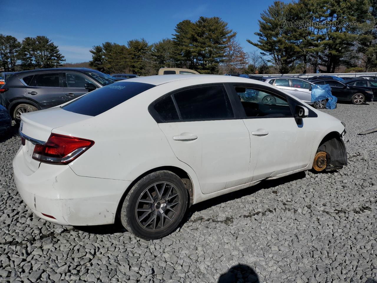 2014 Honda Civic Lx Белый vin: 19XFB2F5XEE230534