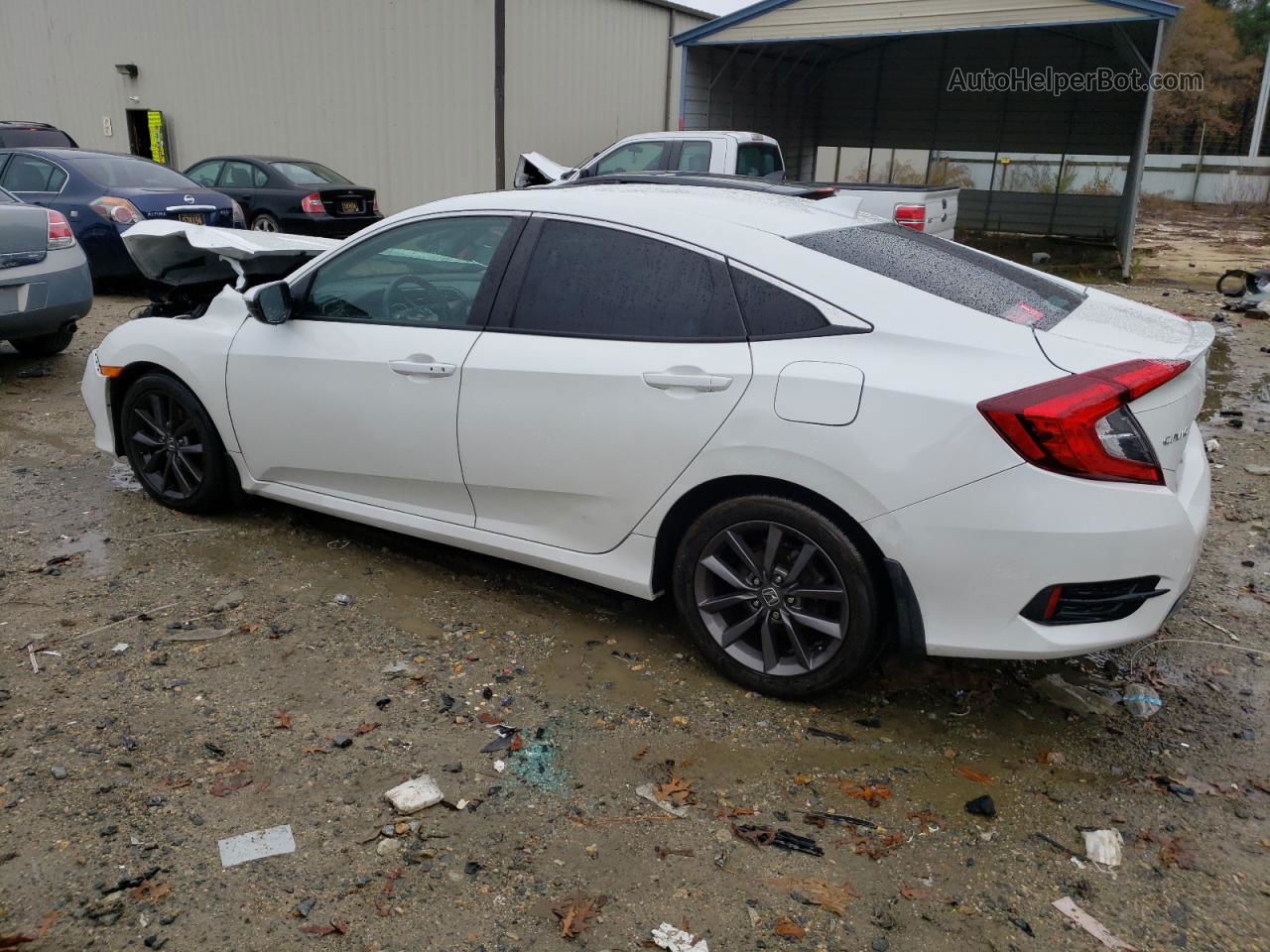 2020 Honda Civic Ex White vin: 19XFC1F31LE214094