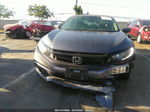 2020 Honda Civic Sedan Ex Gray vin: 19XFC1F38LE204601