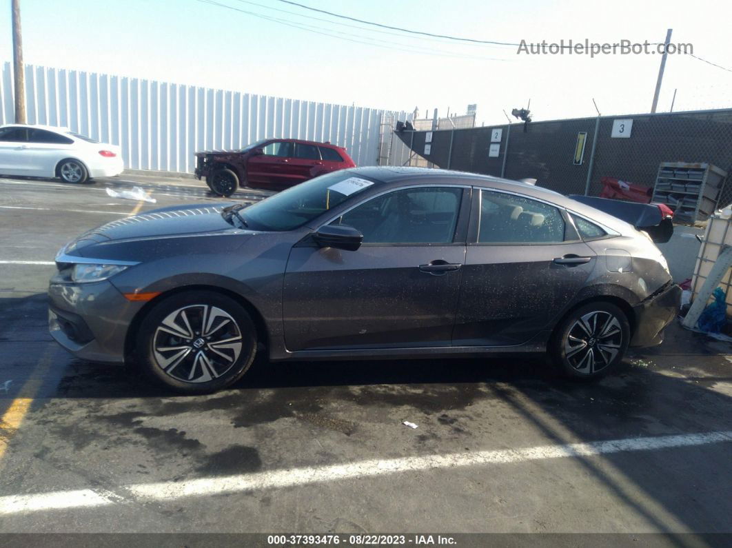 2016 Honda Civic Sedan Ex-l Серый vin: 19XFC1F79GE213901