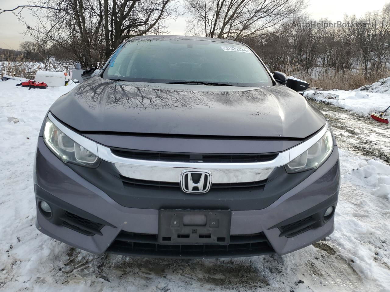 2017 Honda Civic Exl Gray vin: 19XFC1F7XHE201709