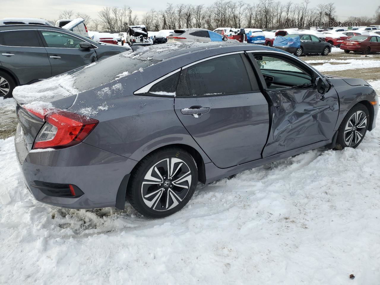 2017 Honda Civic Exl Серый vin: 19XFC1F7XHE201709