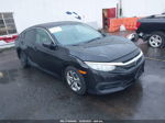 2017 Honda Civic Lx Black vin: 19XFC2F51HE212621