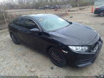 2017 Honda Civic Lx Black vin: 19XFC2F54HE036678