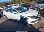 2020 Honda Civic Lx  White vin: 19XFC2F68LE012739