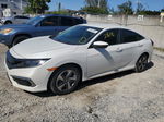 2020 Honda Civic Lx White vin: 19XFC2F6XLE018946