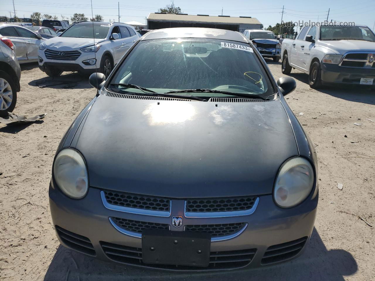 2004 Dodge Neon Sxt Gray vin: 1B3AS56C34D567283