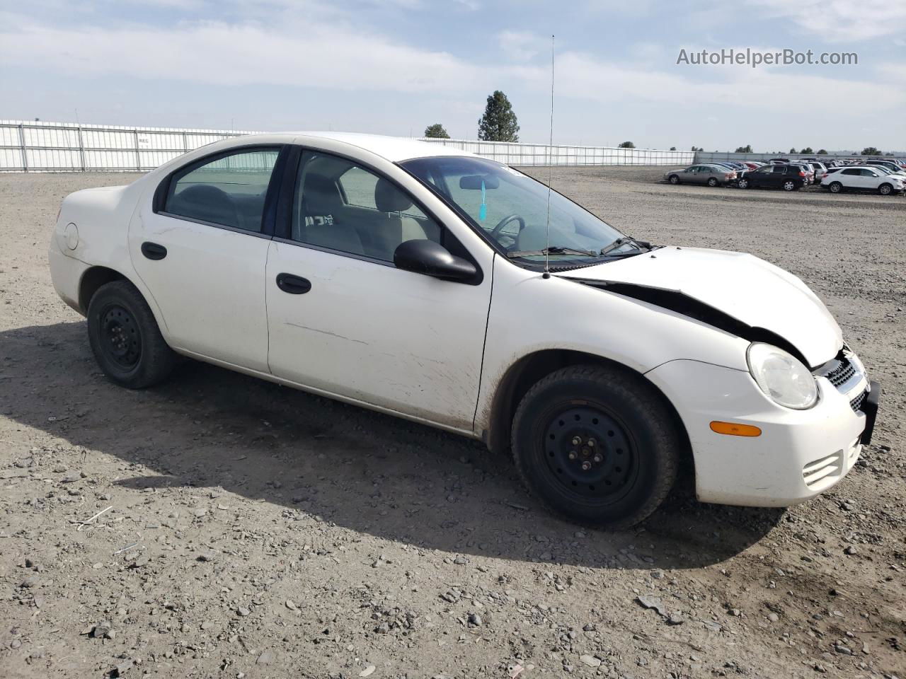 2004 Dodge Neon Base White vin: 1B3ES26C14D624791