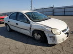 2004 Dodge Neon Base White vin: 1B3ES26C24D506281