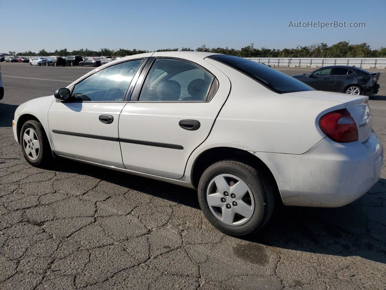 2004 Dodge Neon Base White vin: 1B3ES26C24D506281