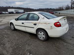 2004 Dodge Neon Base White vin: 1B3ES26C24D627005