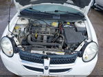 2004 Dodge Neon Se White vin: 1B3ES26C34D540455