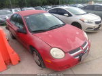 2004 Dodge Neon Se Red vin: 1B3ES26C34D593656