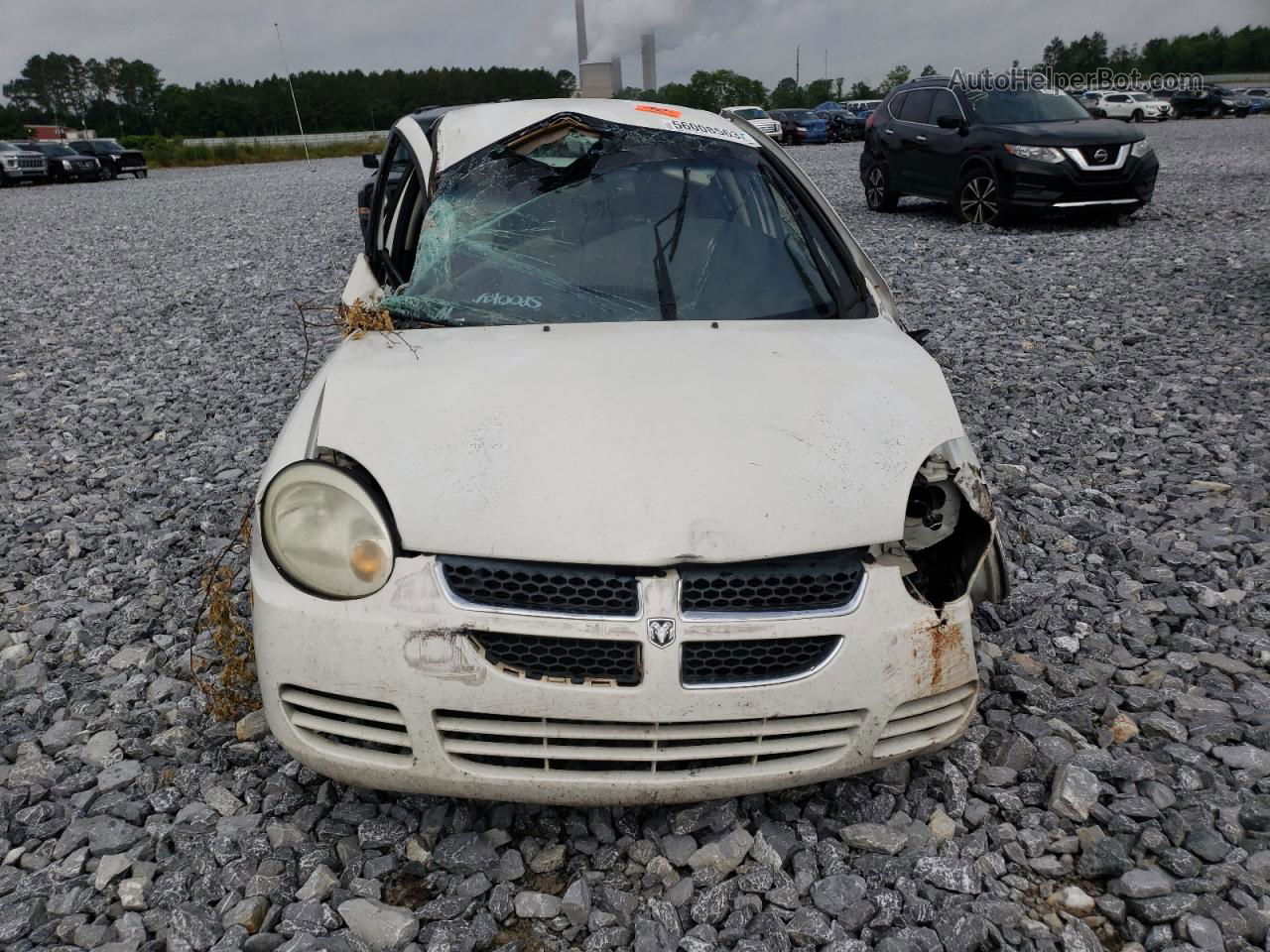 2004 Dodge Neon Base White vin: 1B3ES26C64D534522