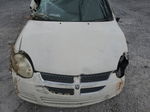 2004 Dodge Neon Base White vin: 1B3ES26C64D534522