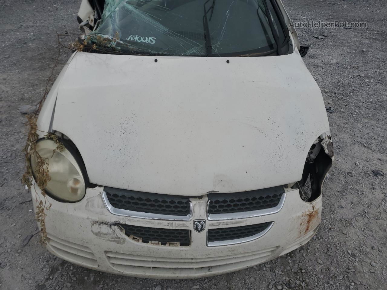 2004 Dodge Neon Base White vin: 1B3ES26C64D534522