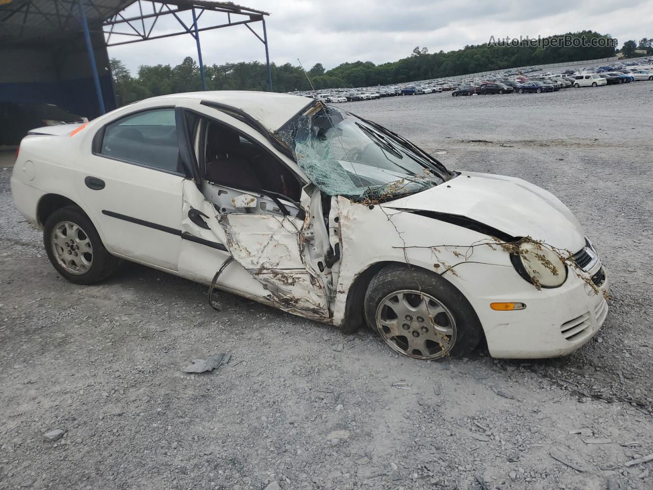 2004 Dodge Neon Base White vin: 1B3ES26C64D534522