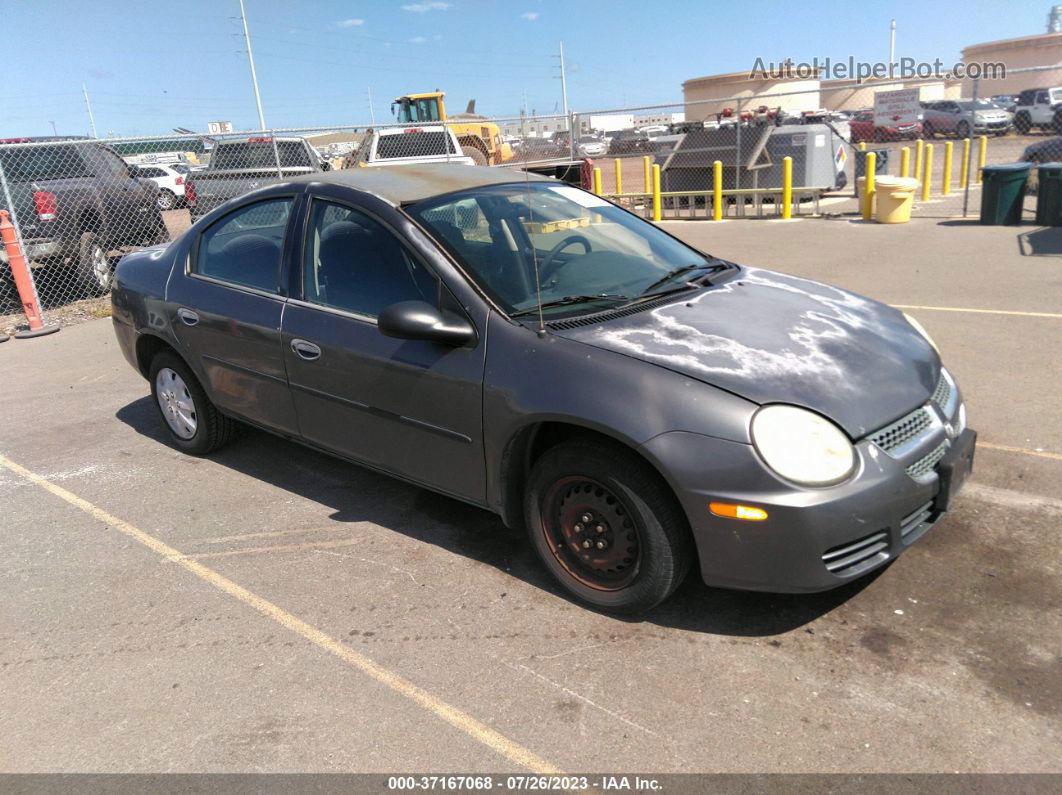 2004 Dodge Neon Se Gray vin: 1B3ES26C74D585897