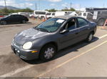 2004 Dodge Neon Se Gray vin: 1B3ES26C74D585897